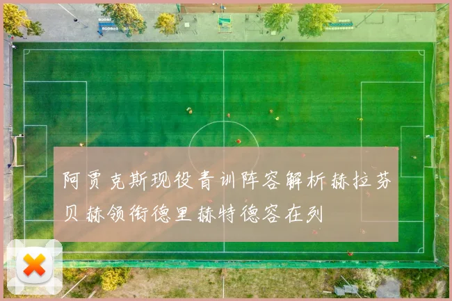 阿贾克斯现役青训阵容解析赫拉芬贝赫领衔德里赫特德容在列