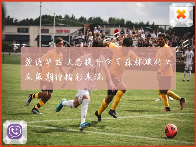 爱德华兹状态提升今日森林狼对决灰熊期待精彩表现