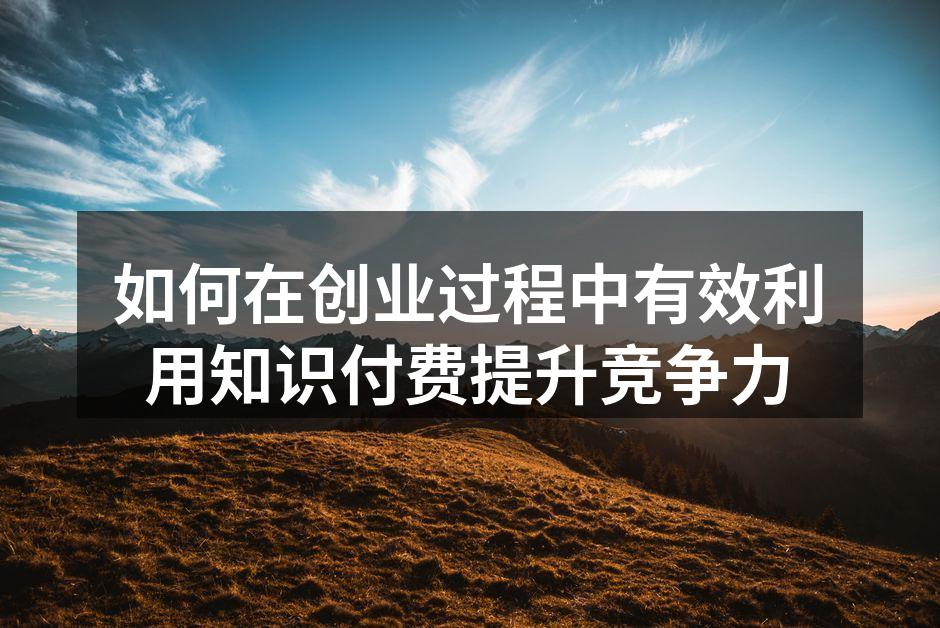 如何在创业过程中有效利用知识付费提升竞争